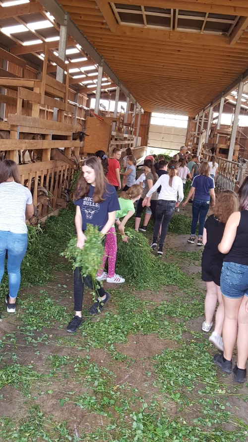 files/Fotos/Seminar/Erdkunde/Ziegenhof/3.jpg